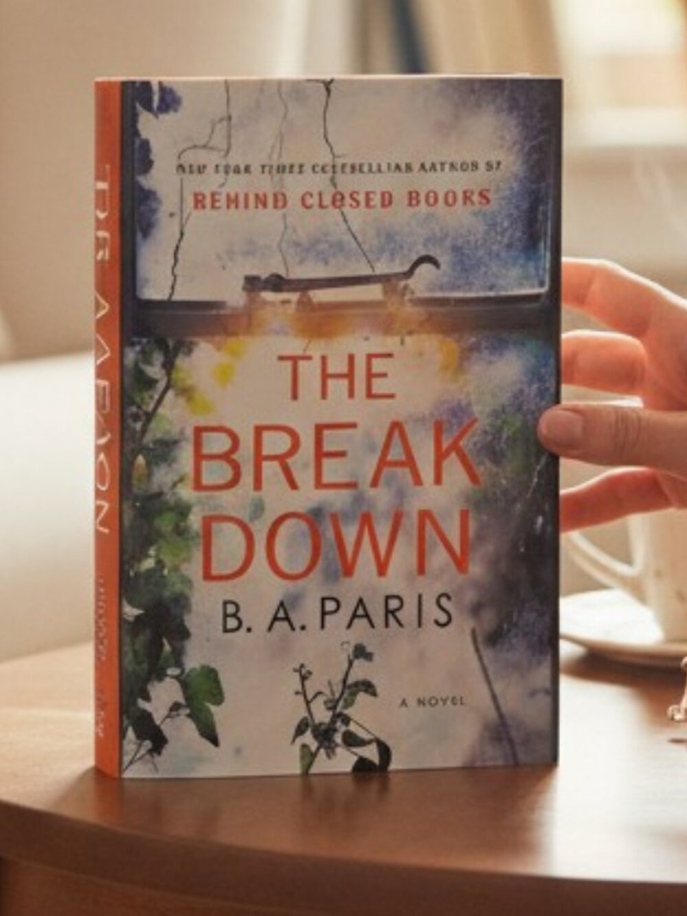 The Break Down- B.A. PARIS- Book Novel